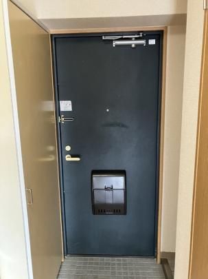 �y���̑��z�@203�@����