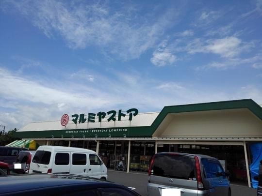 【周辺】　マルミヤストア大塚店：170m