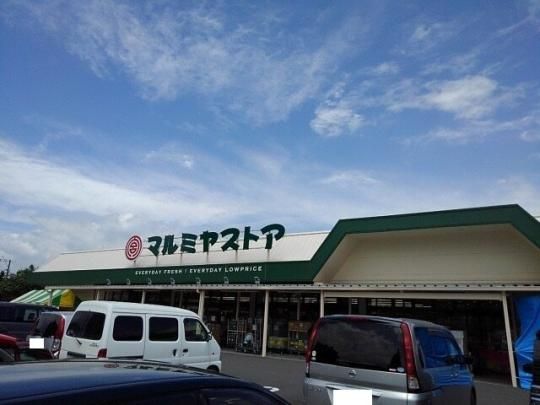 【周辺】　マルミヤストア大塚店：600m