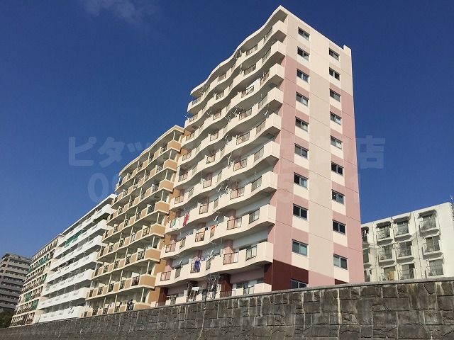 新着 宮崎市吾妻町 マンション 分譲マンション リノベーション 1ldk オリエンタルハイツ 09 17更新 新着 宮崎市吾妻町の リノベーション１ldk オリエンタルハイツ シーエス不動産コンサルタンツ ピタットハウス宮崎店